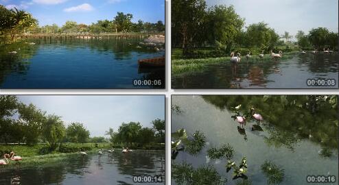 迪拜湿地-生态三维片段第三部