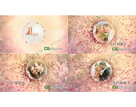 飞舞玫瑰花瓣中的爱情相片展示AE模板