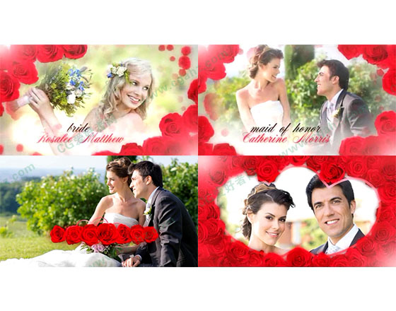 浪漫甜蜜的玫瑰婚礼,爱情故事AE模板