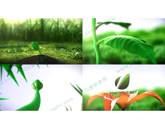 记录种子从发芽到开花的AE片头动画模板