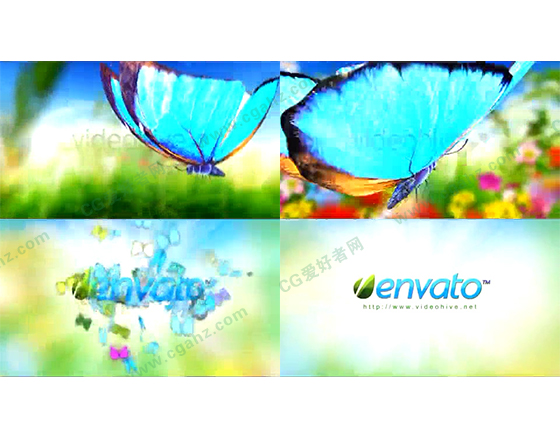 美丽的春夏蝴蝶logo揭示片头AE模板