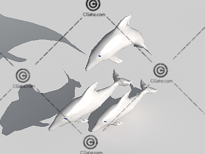 海豚3D模型下载